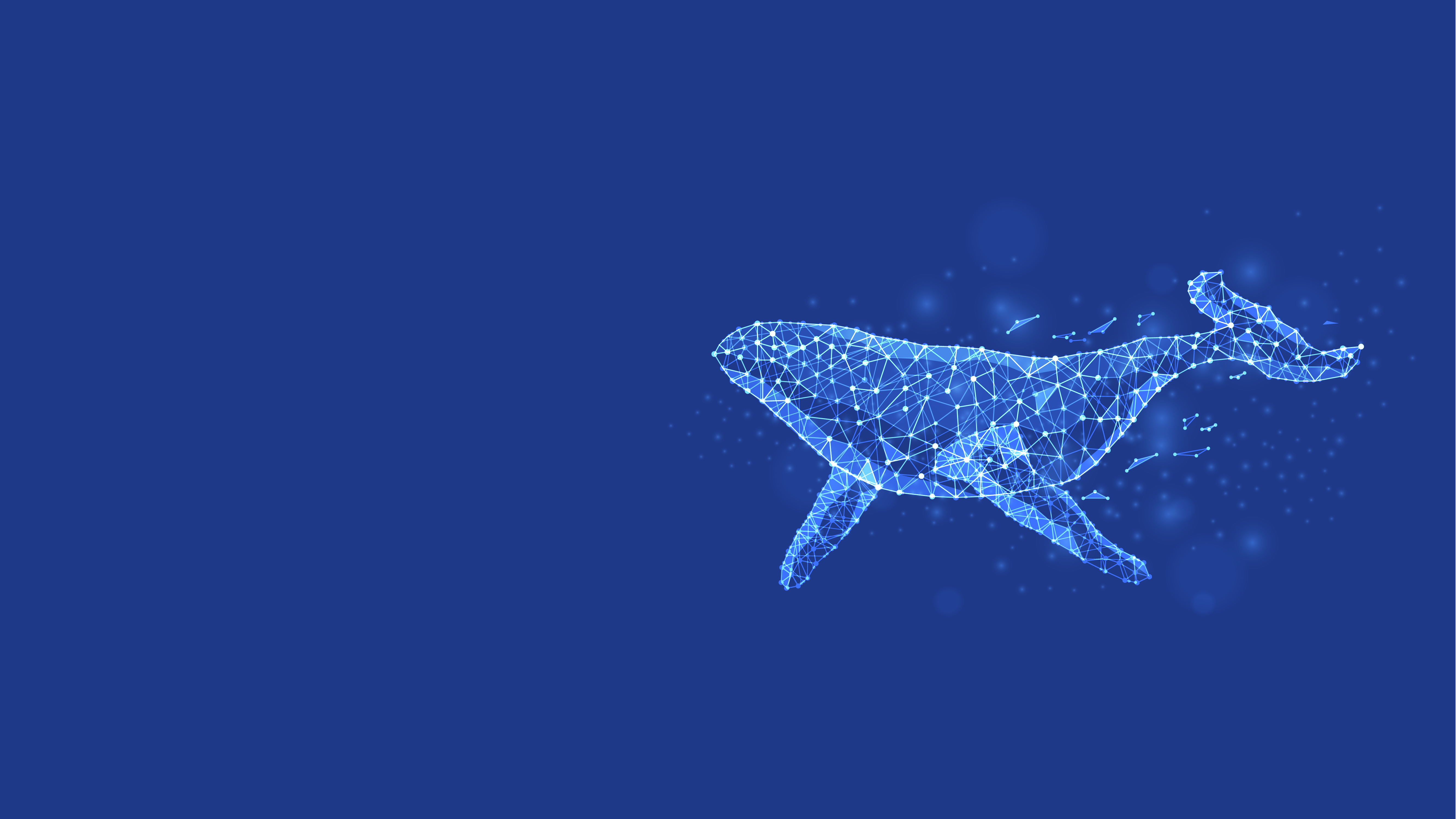 Digital Whale Background